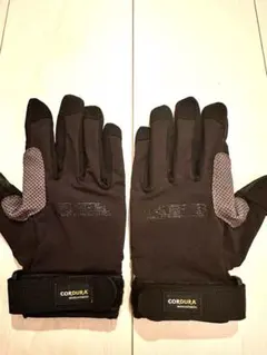 Item thumbnail for item 73a4db49-b53d-40f7-bdc7-d5099881d5e2