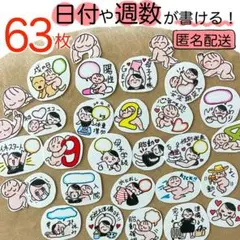 マタニティフレークシール　母子手帳シール　書込み　妊娠記録　63枚 【匿名配送】