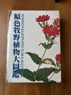 2026年最新】原色牧野植物大図鑑の人気アイテム - メルカリ