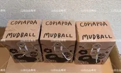 羅本製所 Copiapoa Mudball blind box 3個セット 2026年最新】Copiapoa mudballの人気アイテム - メルカリ