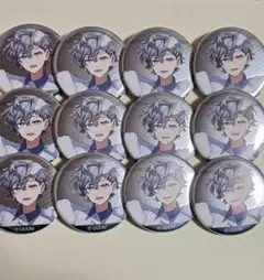 あおい様専用 カラフルピーチ からぴち ヒロ 缶バッジ