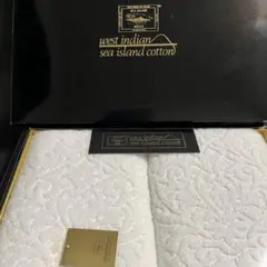 Item thumbnail for item 077b8493-9596-4b49-b663-7220a8877915