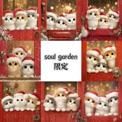 soul garden 21