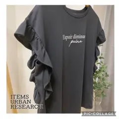ITEMS アーバンリサーチ　フリル袖カットソー　フリーサイズ　未使用品のサムネイル