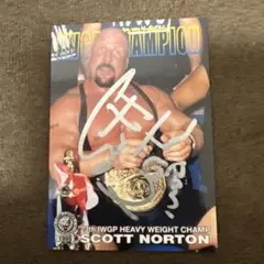 WWE 日本公演 CMパンク 直筆 サイン ポスター - メルカリ