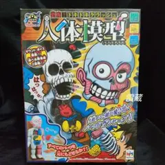 r*n様 メガハウス 恐怖！ドキドキクラッシュ人体模型のサムネイル