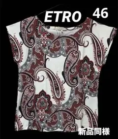 極美品】ETRO エトロ ペーズリー 袖無し Tシャツ カットソー 46 LLのサムネイル