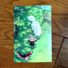 【COMIC ZIN特典】SPY×FAMILY 14巻 イラストカード　遠藤達哉