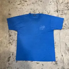 80～90s USA製 Tシャツ 自治体 青 L 古着 スタッフ コロラド州
