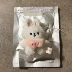 StrayKids スキズ リノ リービット MICRO マイクロ 本国ペンミ - メルカリ