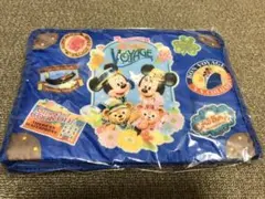ディズニーシー　スプリングヴォヤッジ　ダッフィー  スーベニアランチケース