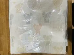 Item thumbnail for item 8b3b30a7-8132-4852-b5da-26d2d9f362a0