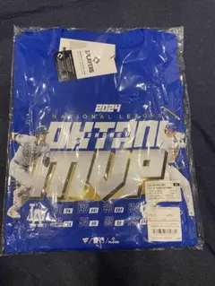 Item thumbnail for item 920c29a0-e415-4da6-aebc-1ae6f6a89932