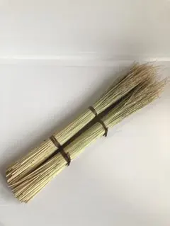 [わら細工におススメです]稲わら装飾用 2束セット