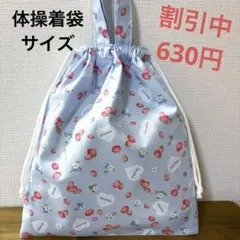 1235【おまとめ割不可】いちご柄体操着袋