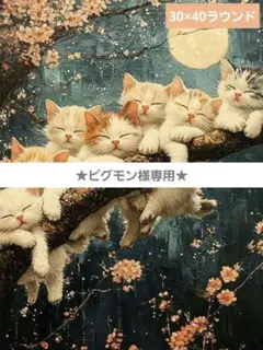 ピグモン様専用