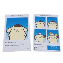 ポムポムプリン 証明写真風スマロイド