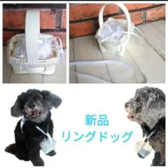 Item thumbnail for item bae84f4d-4301-4d6d-bd5e-adf14b564e88