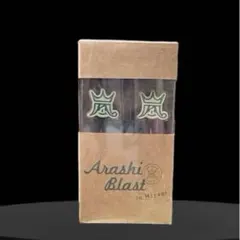 嵐 ARASHI BLAST in Miyagi 公式グッズ イヤホン