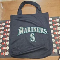 Item thumbnail for item c0cd1649-27ff-44df-9e1a-69ddab6a9cf8