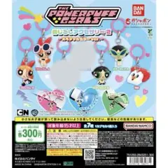 パワーパフガールズめじるしアクセサリー2 / 5点セット