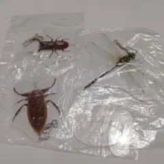 一番くじ昆虫アクリルスタンドキーホルダー（タガメ・オニヤンマ・ノコギリクワガタ）