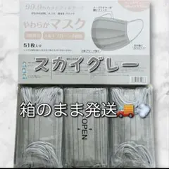 シシベラ 不織布 プリーツマスク スカイグレー 大容量 51枚入のサムネイル