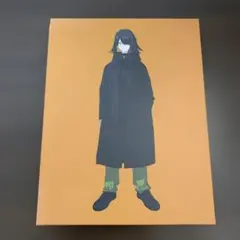 円環帰点 安倍吉俊 serial experiments lain 岩倉玲音 - メルカリ