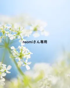 naomiさん専用