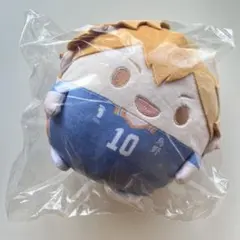 ハイキュー　日向翔陽　C賞　ふわコロりん