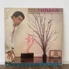 Hyldon coração urbano LPレコード