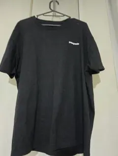 patagonia スリムフィット Tシャツ L