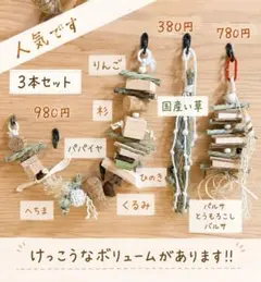 69⭐ い草お試し9点セット ⭐ インコ カジカジ、ガジガジおもちゃ
