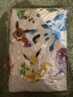 ポケモンセンター 初代 イーブイコレクション ブランケット 未使用品のサムネイル