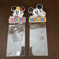 ミッキー・ミニー　TDRプラスチックパスポートケース