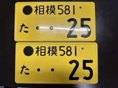 Item thumbnail for item b1200a6d-a850-4e44-b877-bf52756bf640