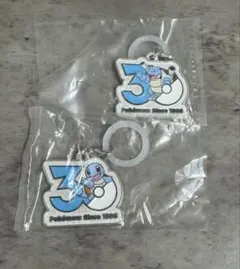 Pokemonポケモン 30周年メタルチャームマスコット ゼニガメ&カメックス