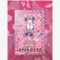 ディズニー　フリーきっぷ　ミニーの日　リゾートライン　パルパルーザ