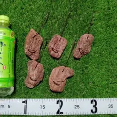 No.4 라지/7-10cm 착생 껍질 칩 5 개 ★ 에어 플랜트 오키드