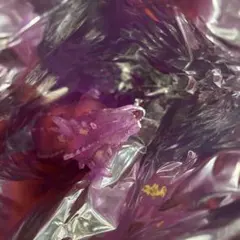 デアゴスティーニ　恐竜アタックアンドコ　カルノタウルス　未使用