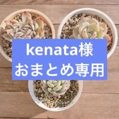 kenata様 　おまとめ専用　おらい&姫