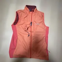 Item thumbnail for item 2f49cd3f-329c-4feb-bdef-9ca4fb9f4eaf