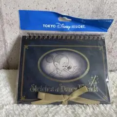 ディズニー Sketches of Disney Friends ポストカード