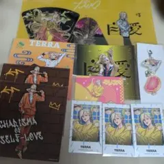 カリスマ テラ まとめ売り