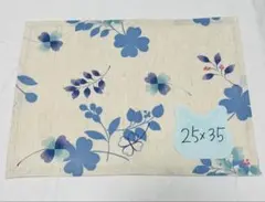 Item thumbnail for item 00d80688-73ed-4c55-8a98-105643f03958