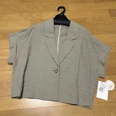 Item thumbnail for item 06e10c4b-fb2f-4084-a378-4a1decf66d38