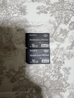 Item thumbnail for item 6ffddd0f-044c-4c0e-ab83-4f75d09edec5