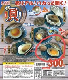 ざ！貝マスコット ガチャ ハマグリの酒蒸し