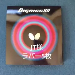 ディグニクス80