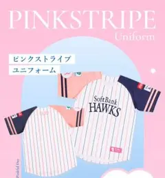 福岡ソフトバンクホークス2026ピンクフルデーユニホーム新品ラージサイズ